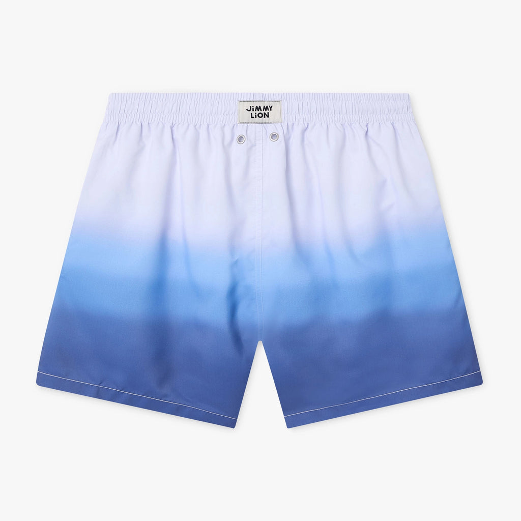 Horizon Swim Shorts - Blue
