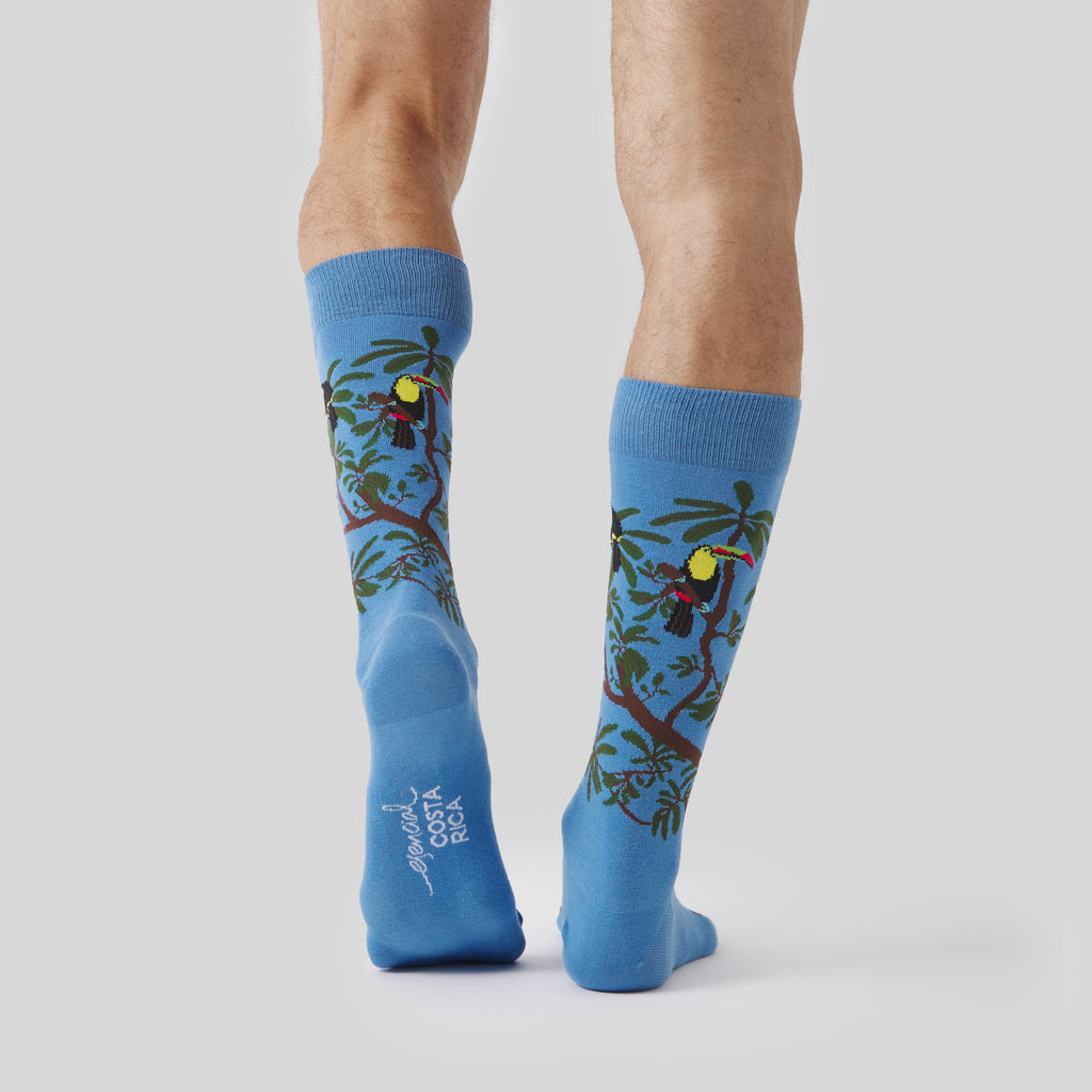 Pura Vida Rainbow Toucan - Azul Claro
