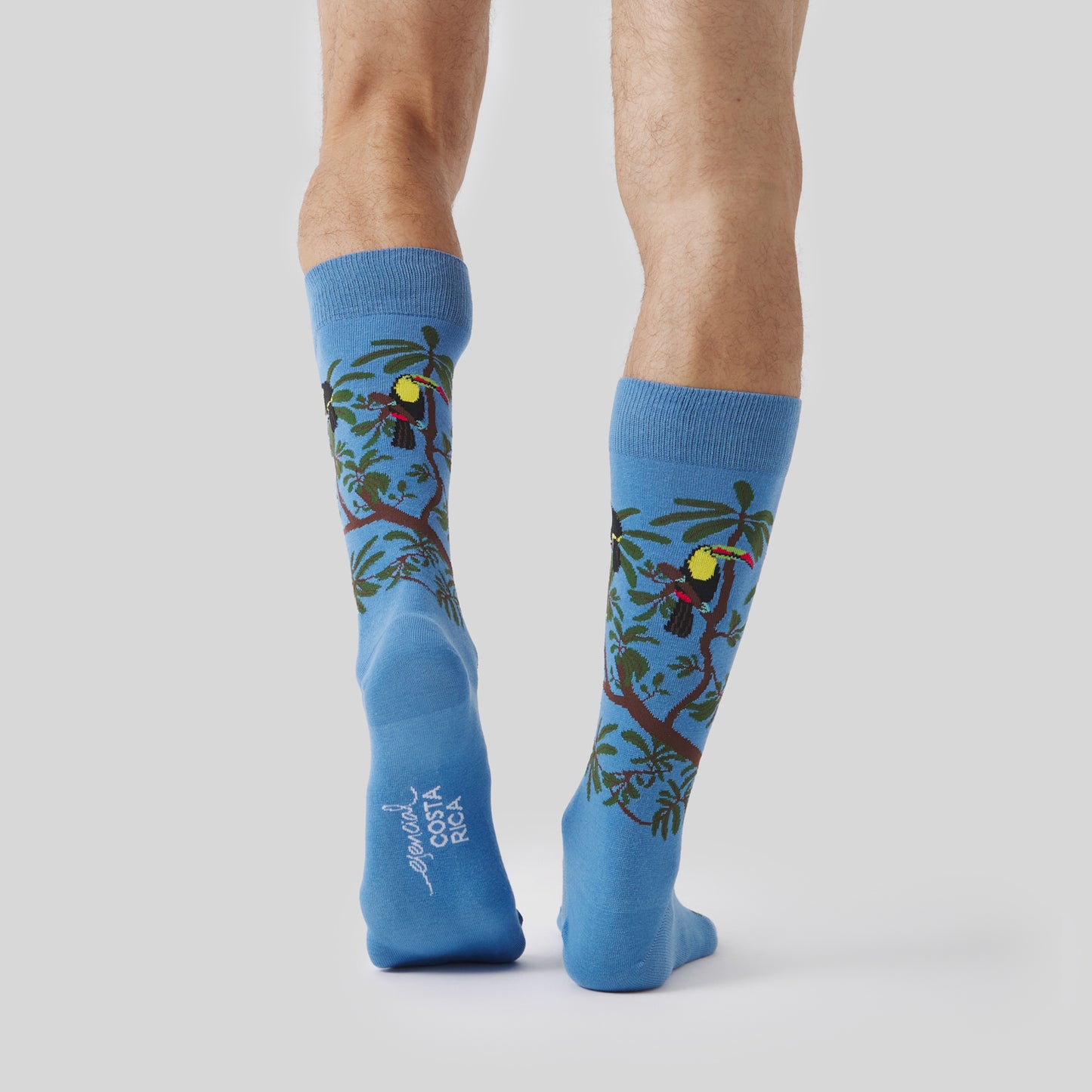 Pura Vida Rainbow Toucan - Azul Claro