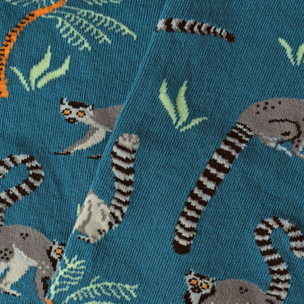 Lemur - Dark Acqua