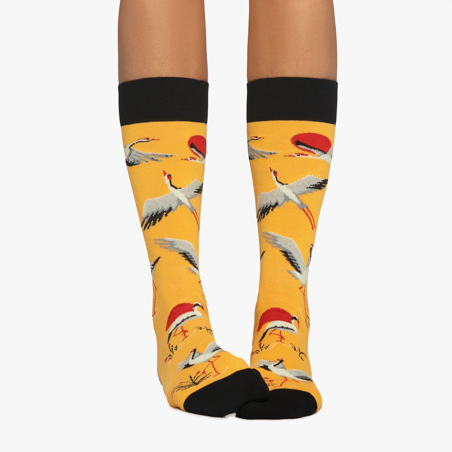 Cranes - Yellow (2)