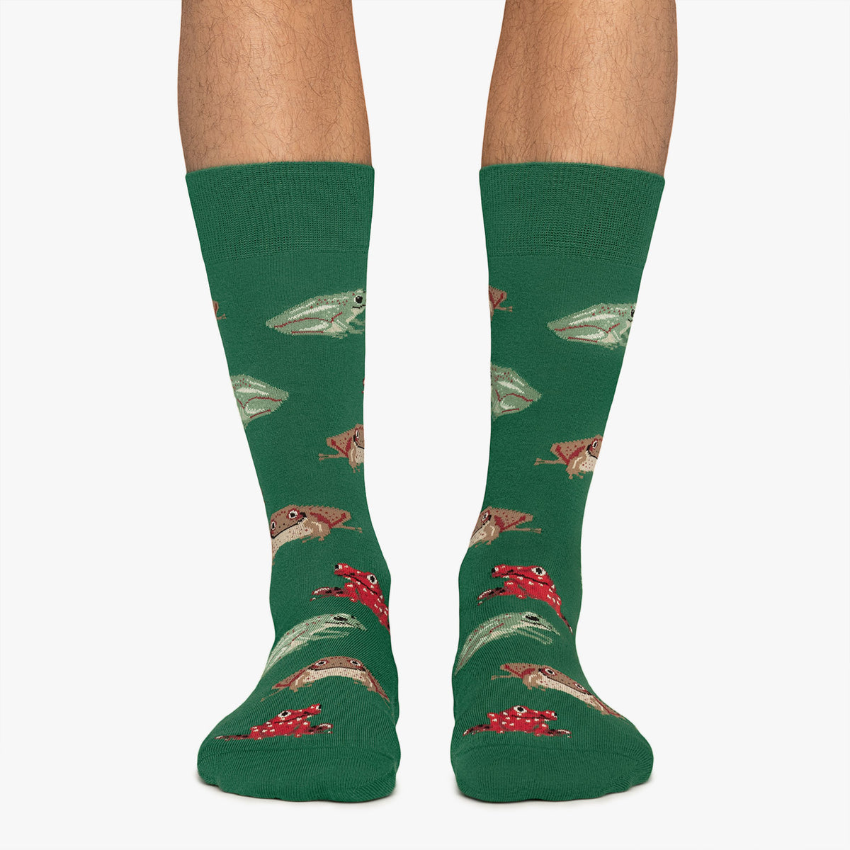 Frogs - Green (1)