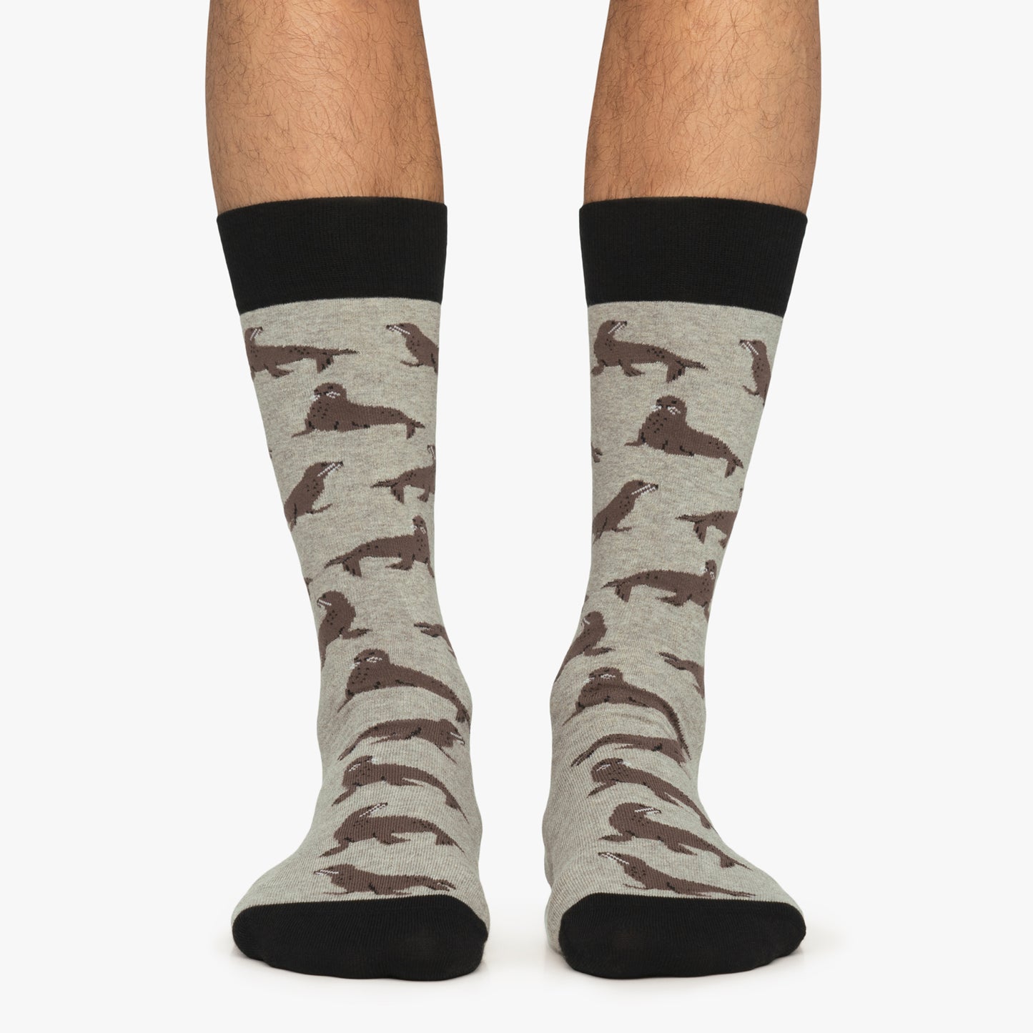 Seals - Grey (1)