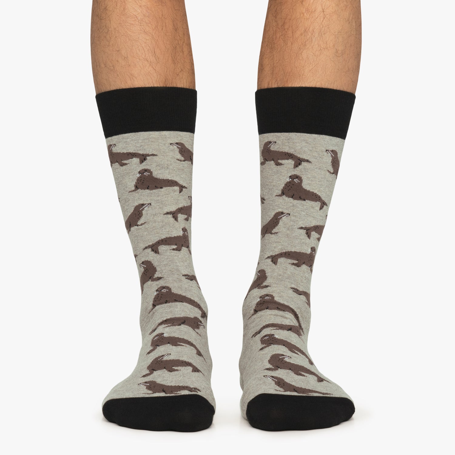 Seals - Grey (1)