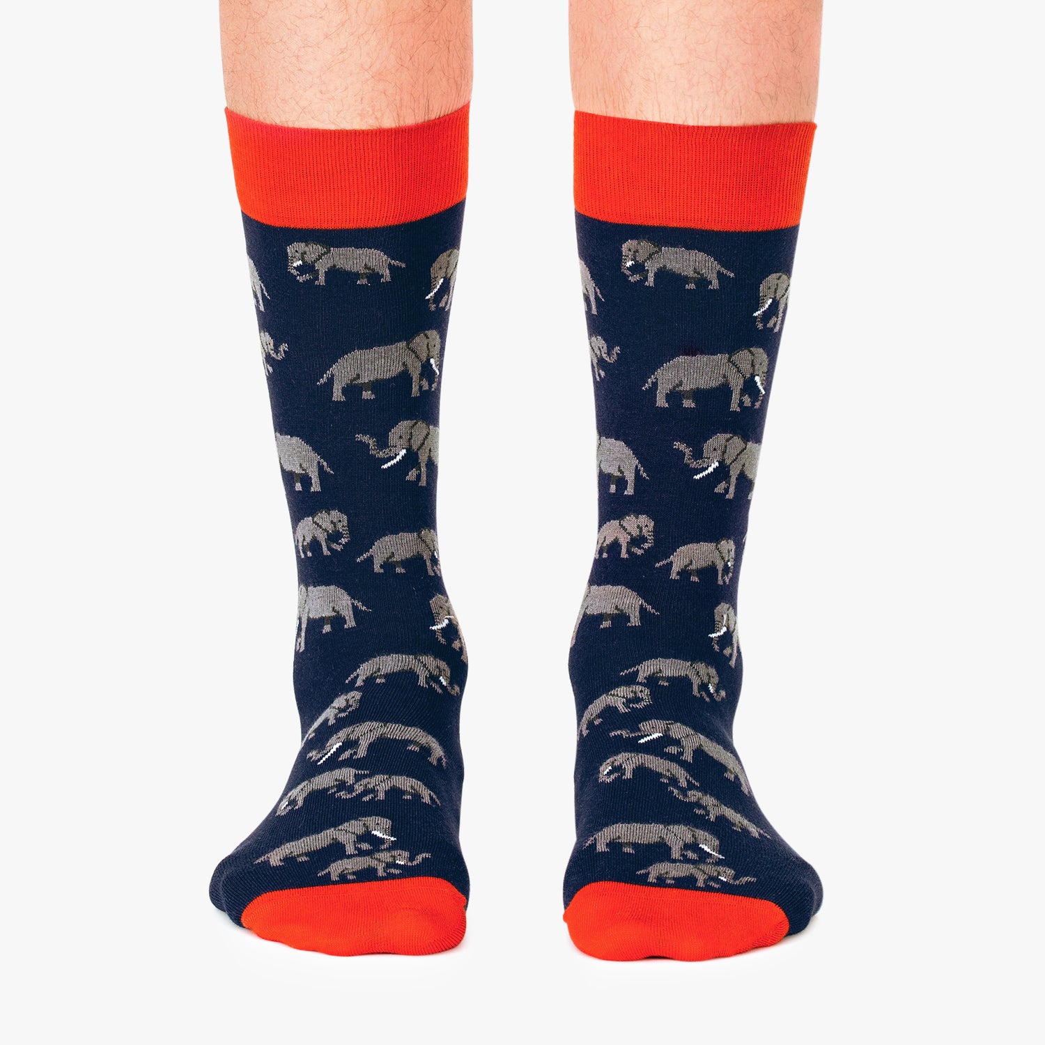 Elephants - Dark Blue (1)
