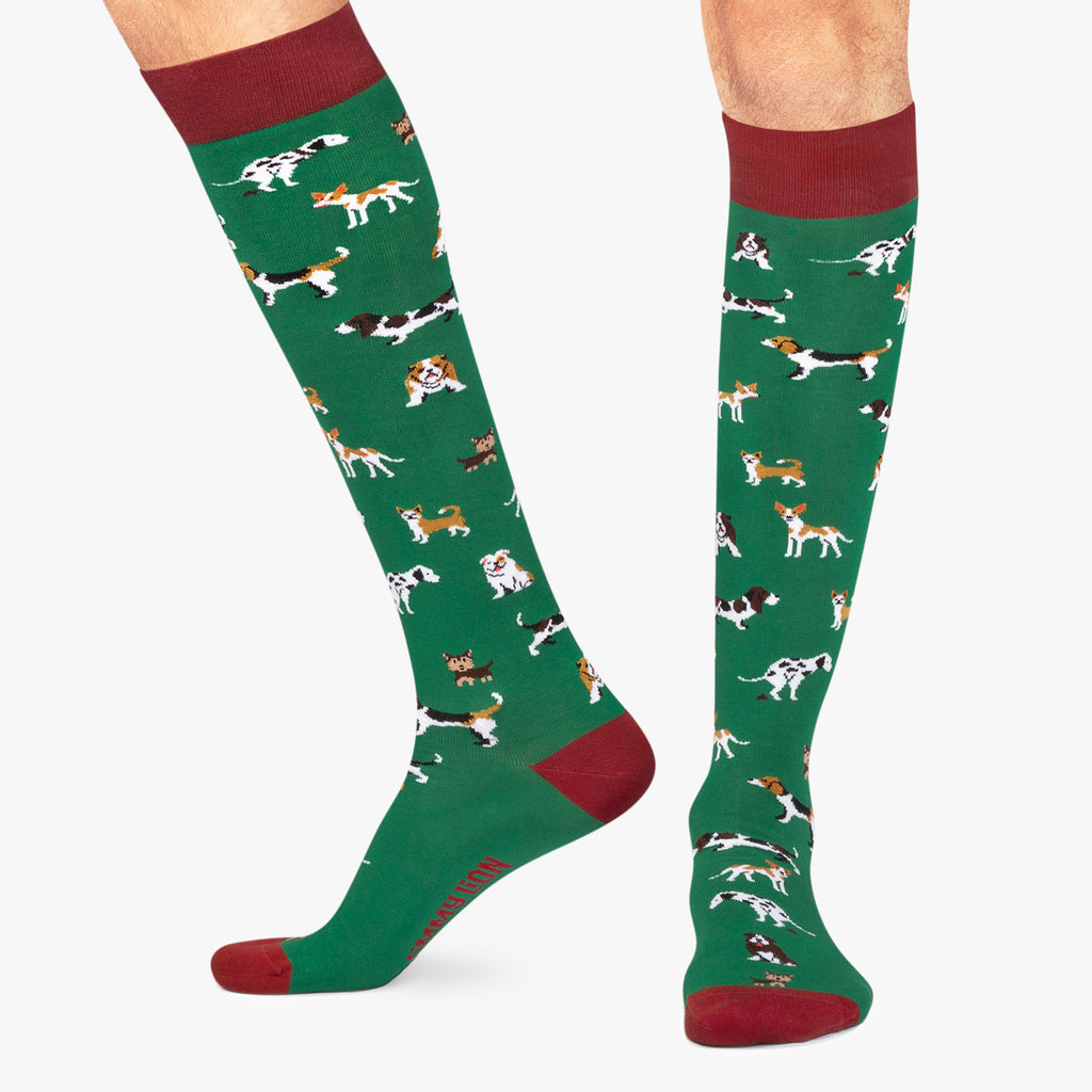 KH Dogs - Green (1)