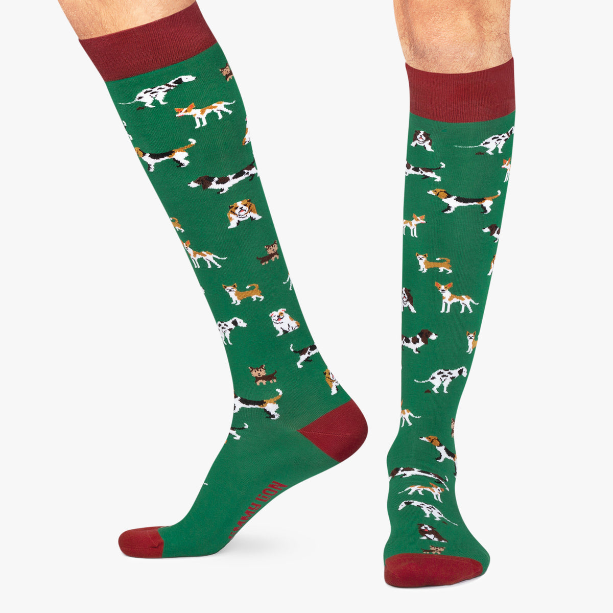 KH Dogs - Green (1)